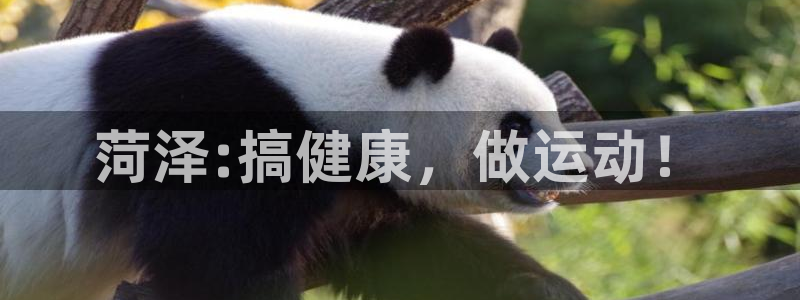 南宫大舞台官网下载招商电话是多少啊:菏泽:搞健康,做运动!