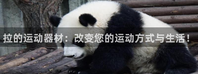 南宫大舞台官方正版app集团logo:拉的运动器材:改变您的